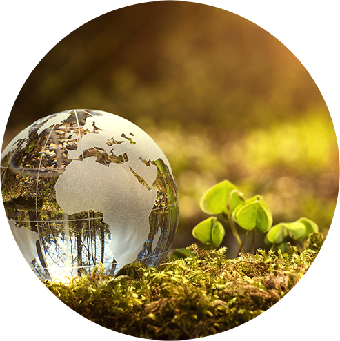 environmental consultants